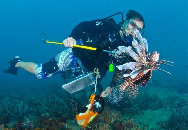 Rubén Torres, presidente de Reef Ckeck.