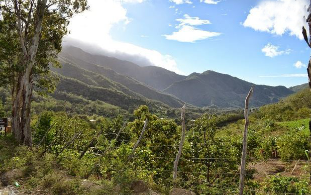 Clúster San José de Ocoa.