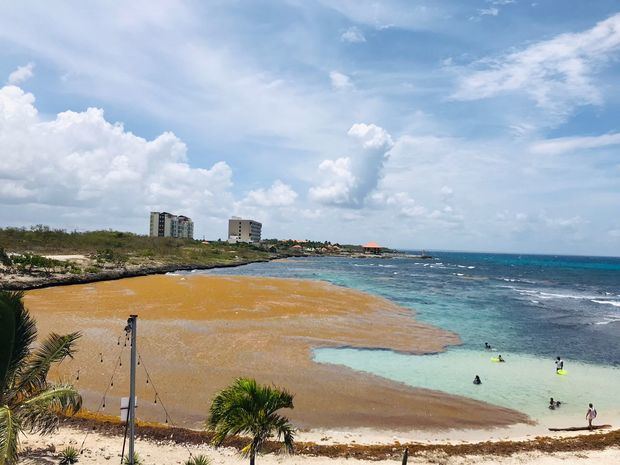 Sargazo innunda las playas dominicanas.