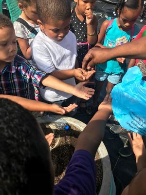 Niños trabajan en el huerto de la FAC.