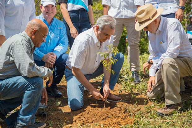 Siembra de un árbol por parte del presidente Luis Abinader.