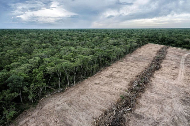 Una de las principales causas de la deforestación en Bolivia es la expansión de la agricultura mecanizada.