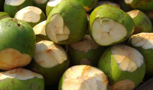 R. Dominicana envía a Estados Unidos primera carga de coco de agua.