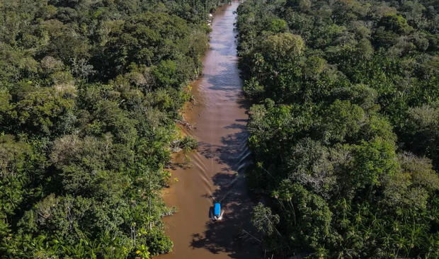 Fotografía aérea que muestra un área de la selva amazónica en el estado de Pará (Brasil).
