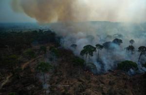 El Banco Mundial propone un nuevo modelo de desarrollo para la Amazonia brasileña