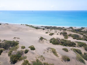 Medio Ambiente derriba alambradas ilegales en Las Dunas de Las Calderas, en Baní