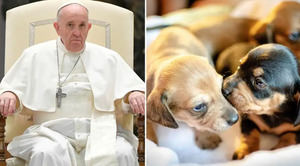 El Papa Francisco regaña a quienes tratan a sus mascotas como hijos