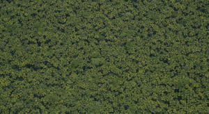 Fotografía aérea de archivo de un bosque de aguajales, una palmera de los humedales cercanos a la localidad de San Lorenzo, en la provincia del Datem del Marañon, en la Amazonía peruana.