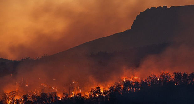 El cambio climático aumenta el riesgo de incendios forestales.