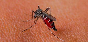 República Dominicana emite nueva alerta epidemiológica por alza de dengue en Las Américas