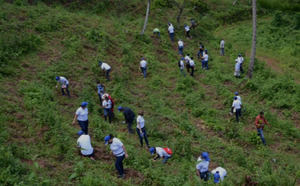 El Gobierno sostiene que ha reforestado más de 470,000 tareas.