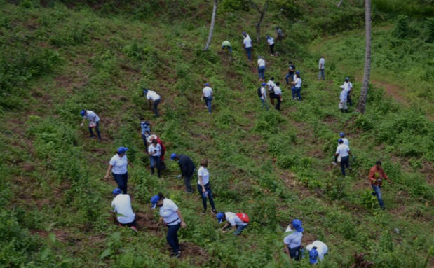 El Gobierno sostiene que ha reforestado más de 470,000 tareas.