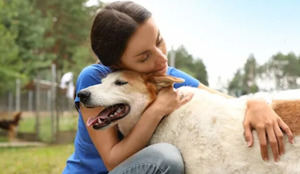 Interactuar con perros aumenta las ondas cerebrales ligadas al alivio del estrés.