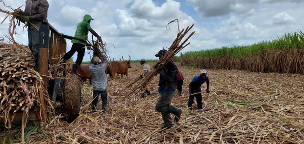 Trabajadores agrícolas. 