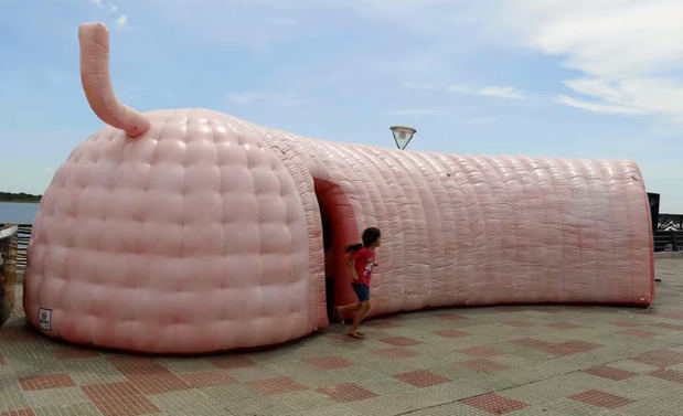 En la imagen de archivo, vista de tamaño gigante de una reproducción de un colon humano para concienciar acerca de la prevención del cáncer colorrectal.