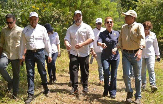 Ministerio de Medio Ambiente lanza campaña de reforestación