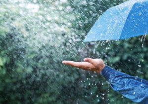 Aguaceros, tronadas y ráfagas de viento en algunas provincias. Temperaturas calurosas