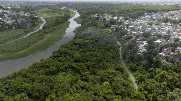 Manglares a orilla del Río Ozama.