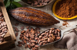 Más de 15 empresas dominicanas participarán en feria internacional del chocolate en Bélgica