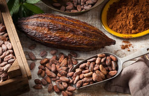 Cacao.