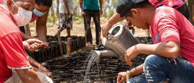 Un grupo de personas atiende un vivero de semillas en un proyecto del Programa Mundial de Alimentos.