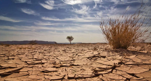 Los efectos del cambio climático no se pueden negar. 