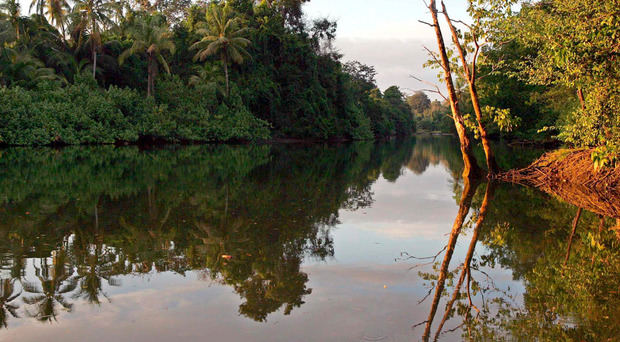 Península de Osa, en el Pacífico sur de Costa Rica. 