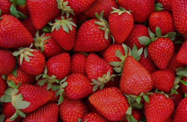 Fresas.