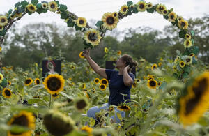 Una familia nicaragüense crea un negocio turístico con un campo de girasoles