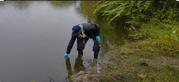 Medio Ambiente investiga la causa de la muerte de peces en una laguna de Puerto Plata.