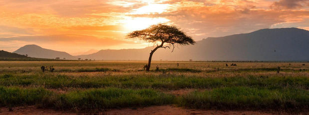Día Mundial del Medio Ambiente.