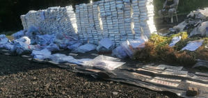 La Procuraduría incinera 491 kilos de diferentes drogas