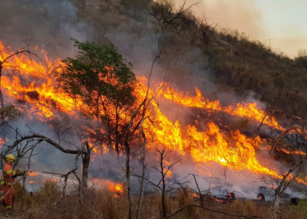 Incendio forestal.