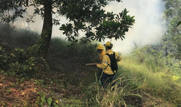 Bomberos de Medio Ambiente combaten incendio forestal en la Cienaguita.