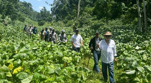 Ministro de Medio Ambiente inspecciona vertiente norte de Los Haitises