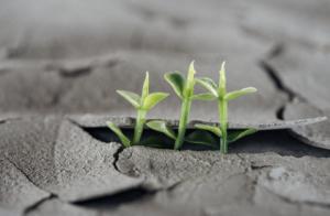 Cómo aumentar el compromiso de los países ante el cambio climático