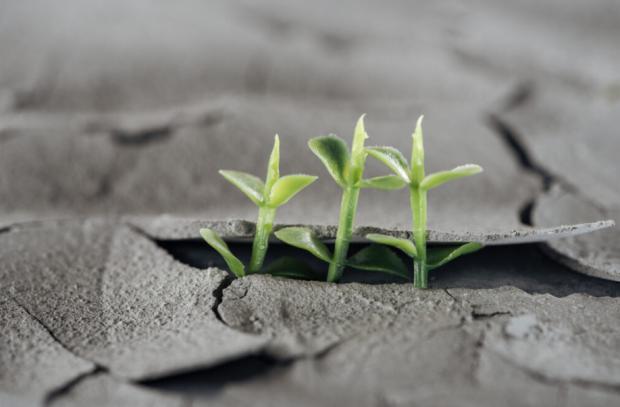 Cómo aumentar el compromiso de los países ante el cambio climático
