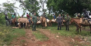 Intervención en Los Haitises concluye con el arresto de 439 desaprensivos que depredaban el parque nacional.