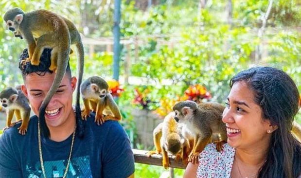 Incluyen dos excursiones dominicanas entre las mejores experiencias del Caribe en TripAdvisor
