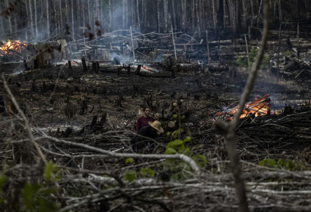 Personas prenden fuego en un área boscosa en Careiro Castanho, Amazonas (Brasil).