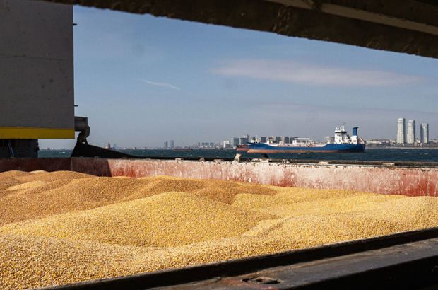 Equipos de inspección conjuntos trabajaron en el marco de la Iniciativa de Cereales del Mar Negro.