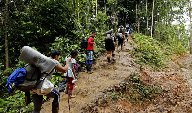 Migrantes venezolanos suben una montaña con la intención de llegar a Panamá, en el Tapón del Darién (Colombia). 