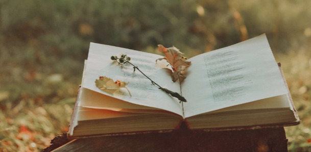 Escritores de América y Europa participarán en la Semana Internacional de la Poesía.
