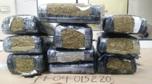 La DNCD decomisa más de 500,000 gramos de cocaína, crack, marihuana y otras sustancias