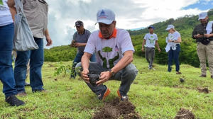 Ministerio de Agricultura siembra más de mil plantas en San Cristóbal