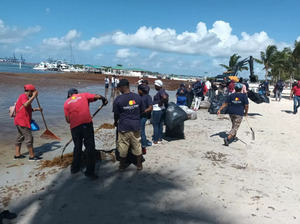 Gobierno realiza operativo de limpieza para retirar sargazo en la playa de Boca Chica