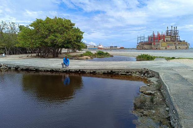 Evaluación del evento de muerte de peces reportado en las redes sociales en una Laguna de Puerto Viejo.