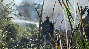 Medio Ambiente informa incendio registrado en Lagunas de Cabarete y Goleta está sofocado