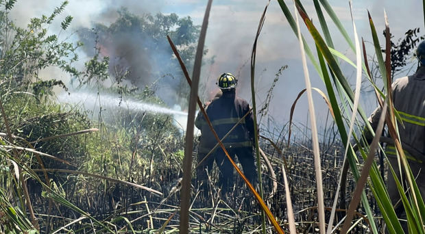 Incendio forestal.