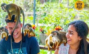 Incluyen excursión Monkeyland entre mejores experiencias